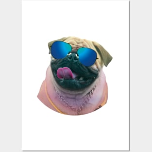 dog wearing sunglasses Posters and Art